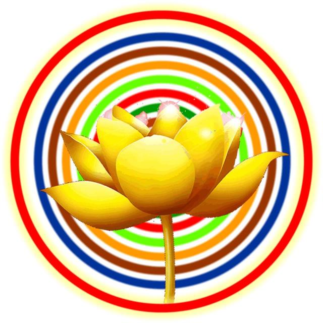 485831_114320298703686_1125680963_n