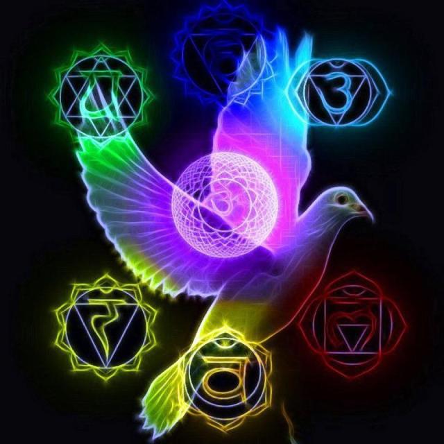 540257_415944108440153_675591483_n