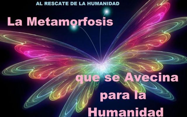 578460_1381311825435736_647448208_n