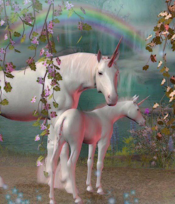 65281_233115923490657_1782615688_n