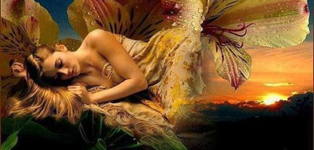 71613_313119762132563_1750957328_n