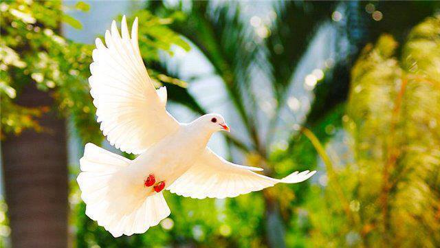 76504_407110996066673_665451723_n