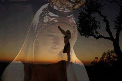 7850_216708528488999_1213353748_n