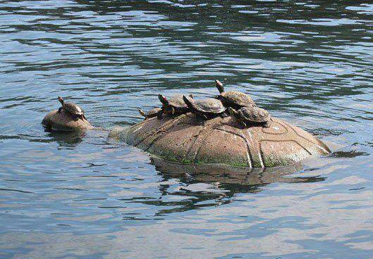 923020_518603754843721_270361928_n