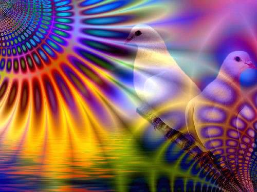 935546_150110325172613_58543148_n