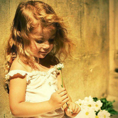 971969_450787855034780_1591840412_n