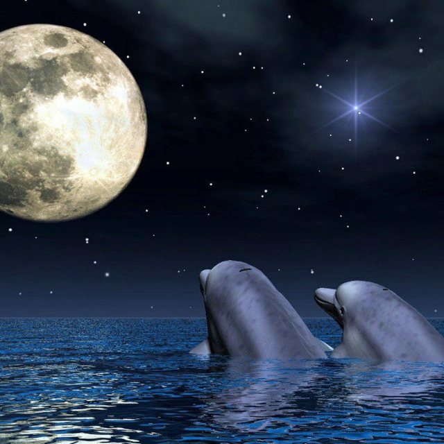delfines-h
