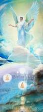 images (49)