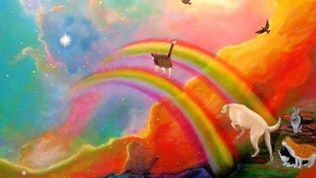 1002013_416371635131682_2064359595_n