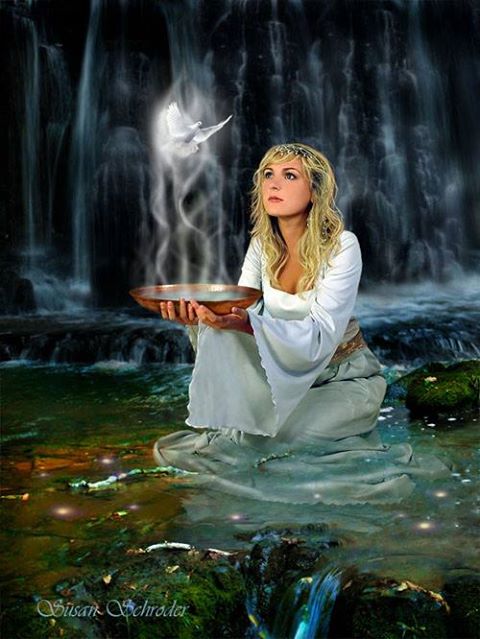 1002539_295082477302826_1313692354_n