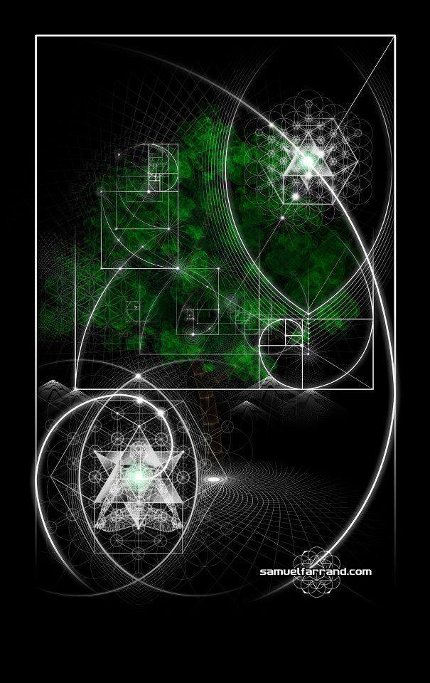 1003373_552362004800745_476446162_n