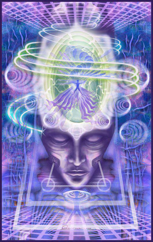 1069419_694953037188591_1351095436_n