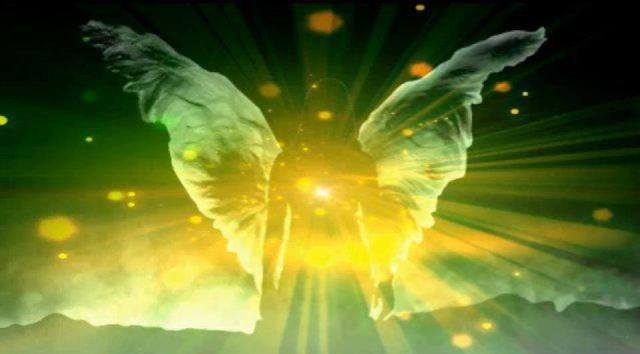 1234082_221938714641921_1555607090_n