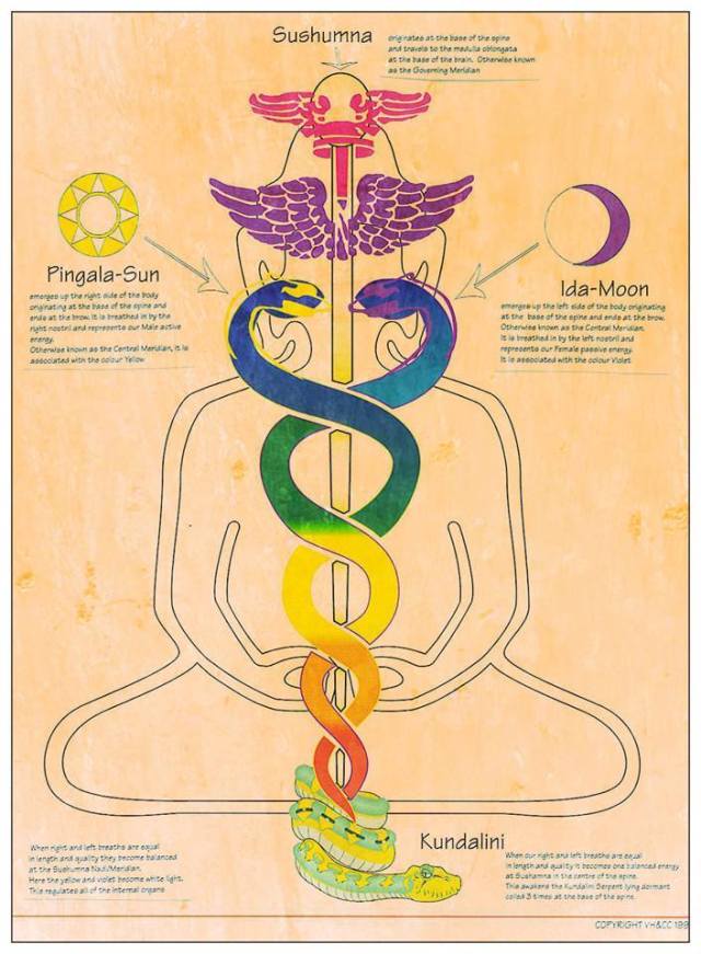 1234739_155057231369671_199643789_n