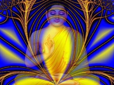 1235521_1429090717311137_1414613045_n