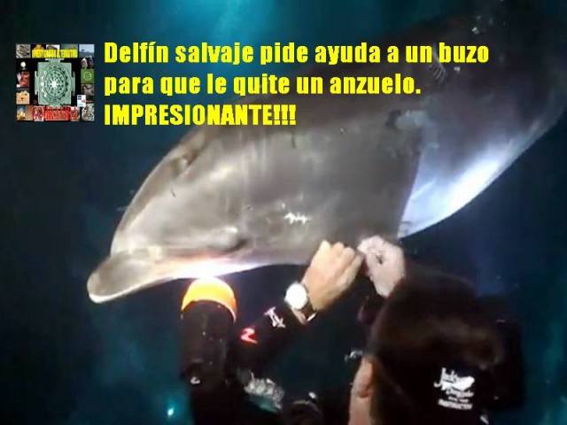 1378011_571315689584640_247710255_n