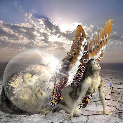 1379468_641717259213020_650905840_n