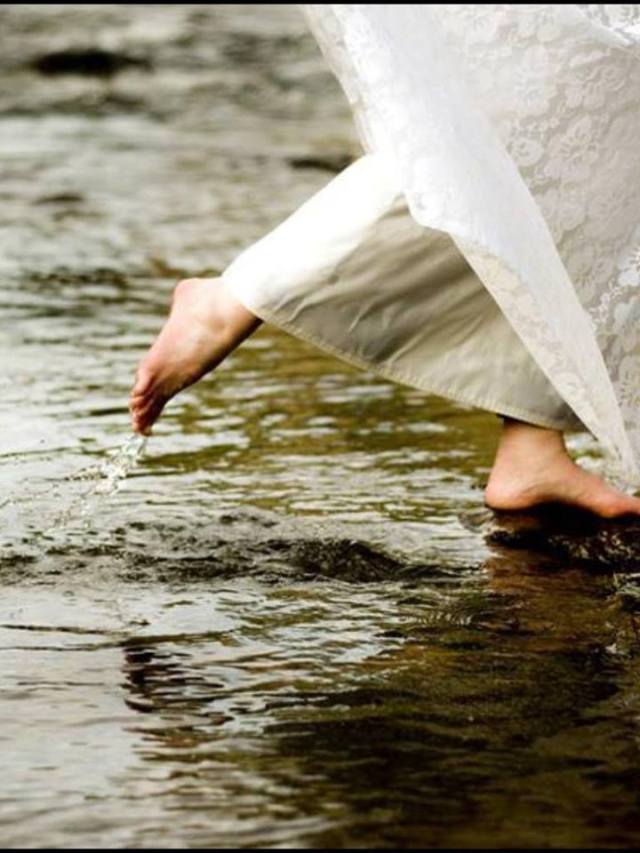 1382314_1423020311245172_642979411_n