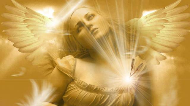 1383780_587021454667957_168220557_n