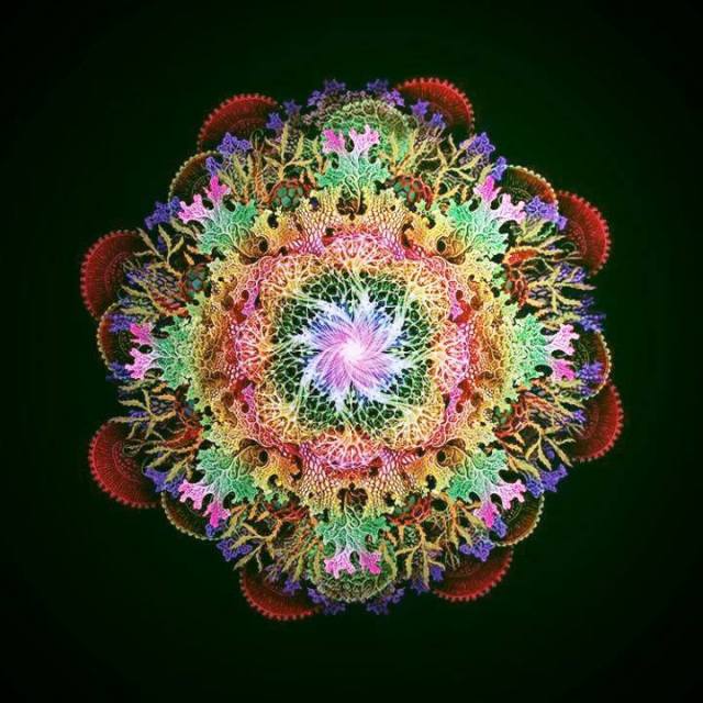 1391858_496317517134033_1567182872_n