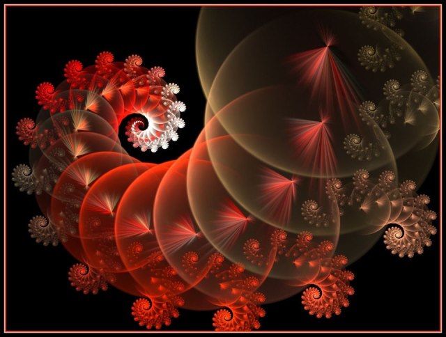 182581_594995683845029_2043632786_n