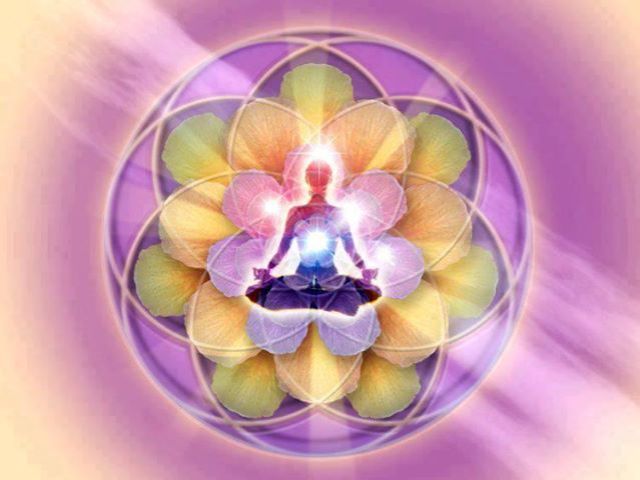 21269_497964063592870_614531766_n