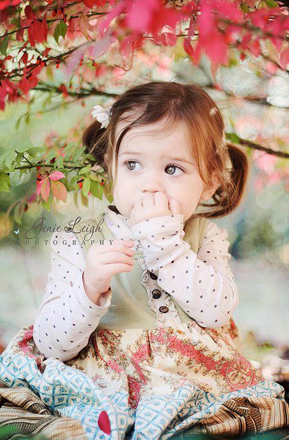 310306_232288066817579_5330778_n