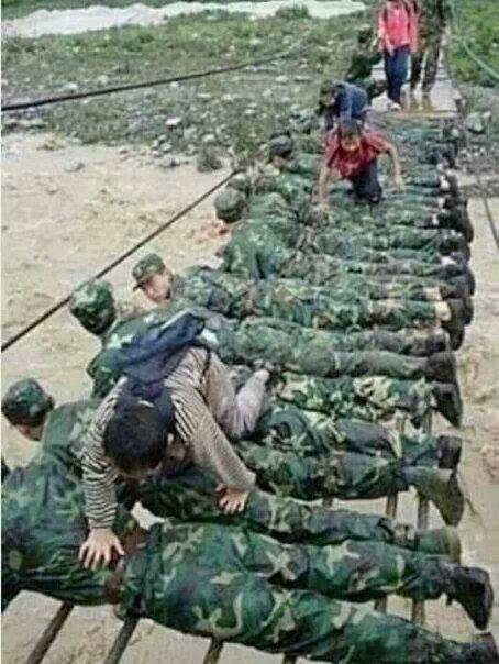 537237_10151630106026035_1859187715_n