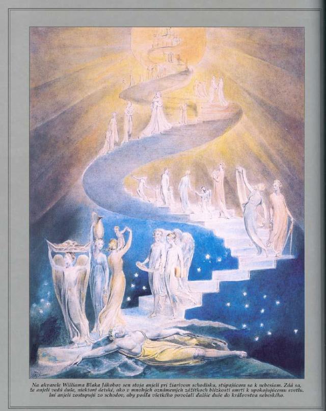 553836_454355201315559_2018110008_n