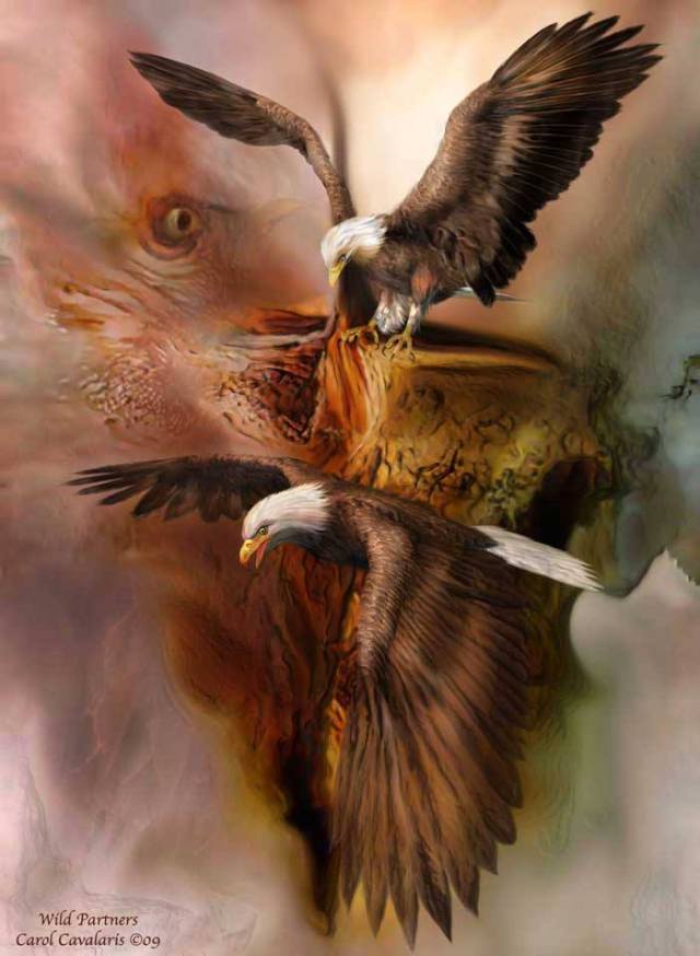 554003_10151614266553303_2082374452_n