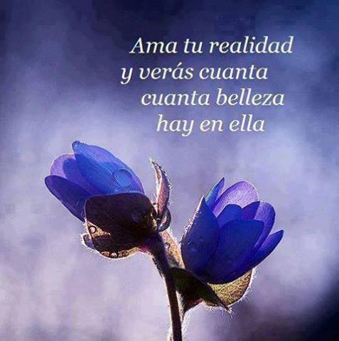 556438_403973123058217_630348651_n