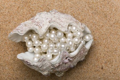 5725816-el-shell-con-una-perla-perlas-mentiras-sobre-la-arena