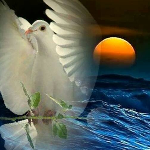 600633_447100012067870_1329673217_n