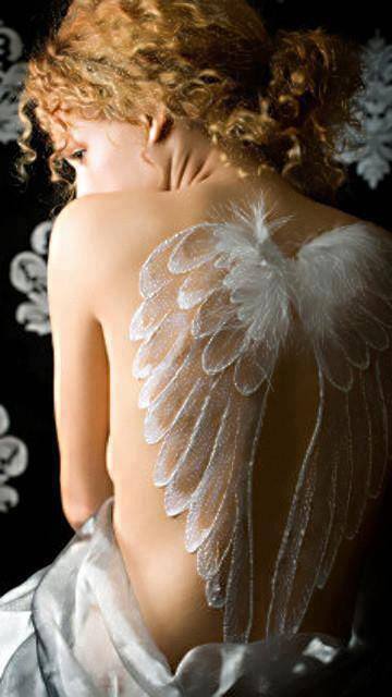 67054_642095282508551_400889081_n