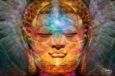 74489_322988704471110_7359606_n