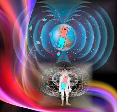 849bb-dimensionessertraslacion