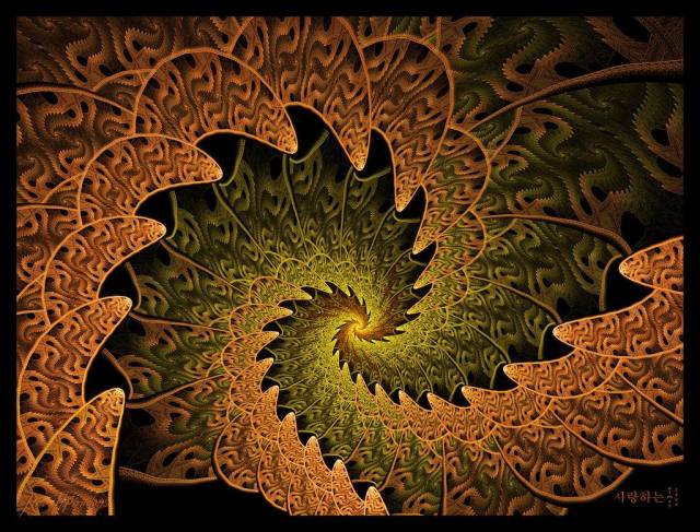 881939_673431582668105_2116458429_o