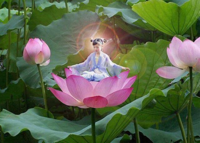 923055_546040712122331_1202922173_n