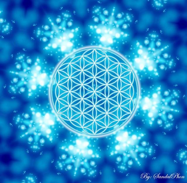 9342_396092917165820_72658871_n (2)