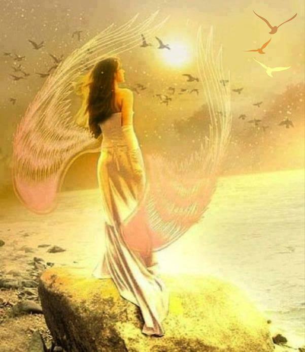 943107_344803242315387_416743150_n