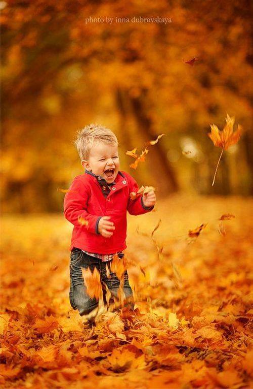 993428_10151692457644211_277114231_n