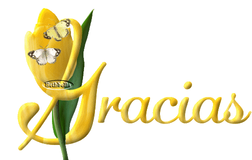 gracias 7