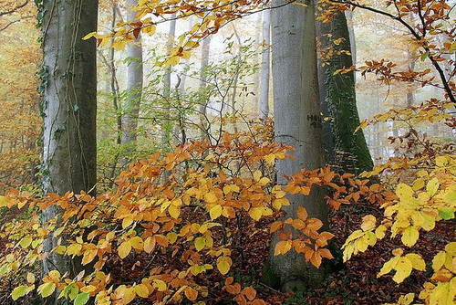 tumblr_mfw6uvbiXI1qc76t1o1_500