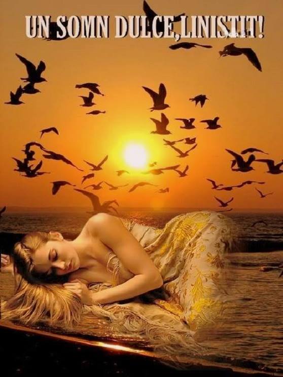 1000201_621943254518387_482135963_n