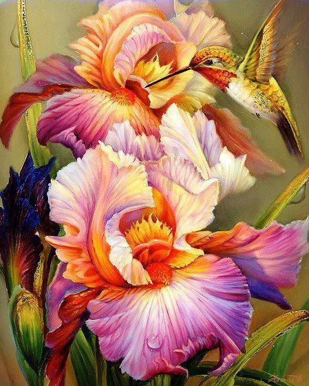 1000417_266855796789398_732176758_n