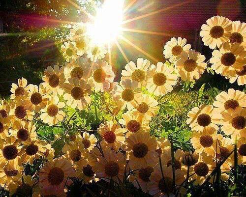 1000423_4986965479052_423958331_n