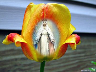 1001723_661433243880281_896483583_n