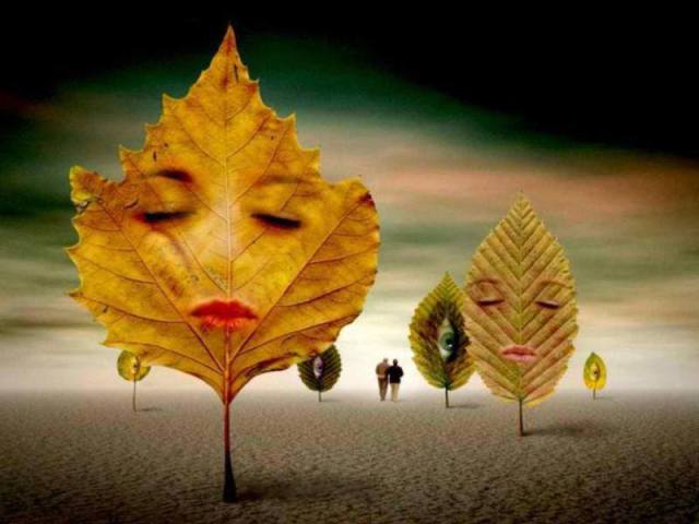 1011906_558106207564886_855625644_n