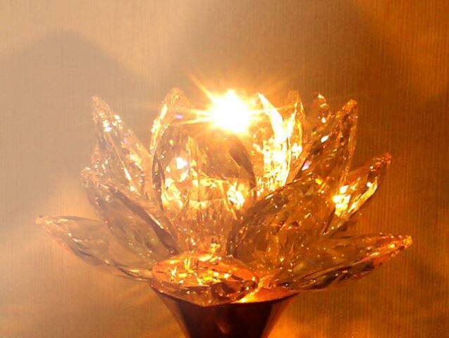 1069180_282099648598346_1890461232_n