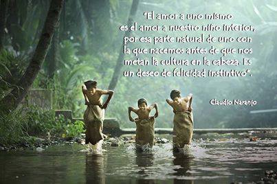 1069246_402226793221859_1168279700_n